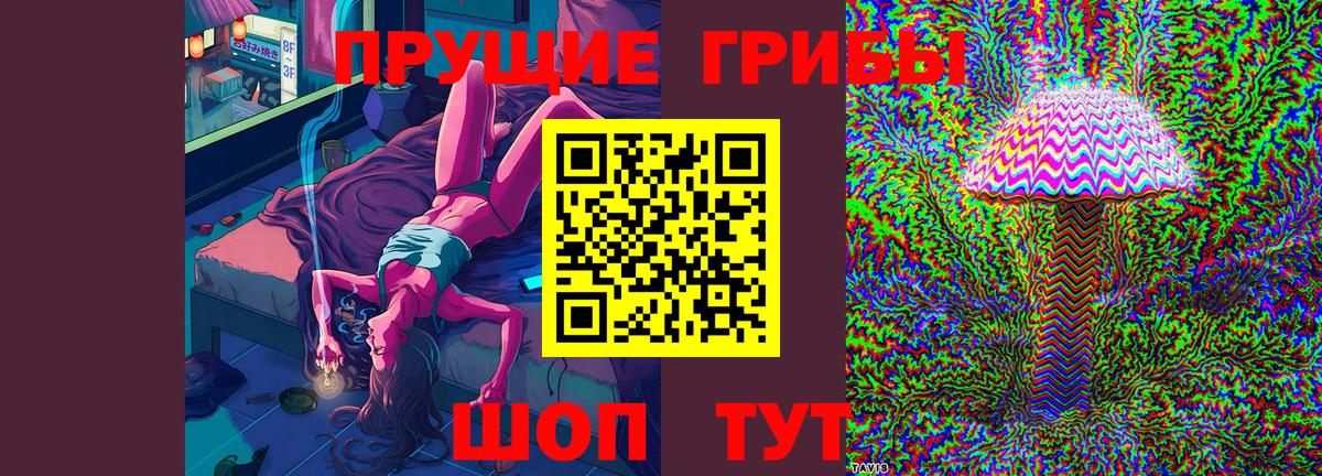 купить закладку  Галлюциногенные грибы GOLDEN TEACHER  Рязань  Вход с VPN  Псилоцибиновые грибы прущие грибы 